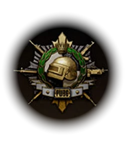 PUBG Master rank icon